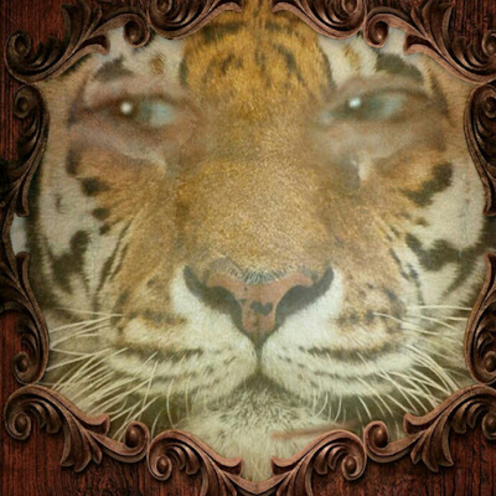 Meet your Posher, Kate thomas